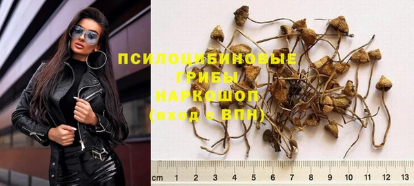 apvp Алексеевка