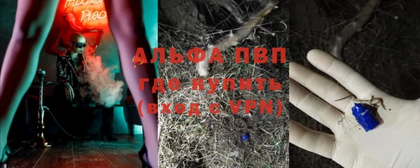молекула духа Алексин